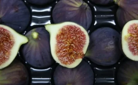 Rüyada incir görmek ne anlama gelir? Rüyada incir toplamak ve yemek