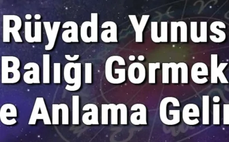 Rüyada Yunus Balığı Görmek Ne Anlama Gelir? Rüyada Yunus Sevmek Ya Da Öldürmek