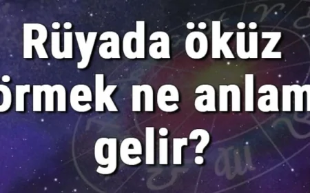 Rüyada öküz görmek ne anlama gelir? Rüyada öküz kesmek ve kovalamak