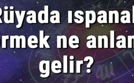Rüyada ıspanak görmek ne anlama gelir? Rüyada ıspanak yemek, toplamak ve yıkamak