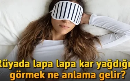 Rüyada lapa lapa kar yağdığını görmek anlamı