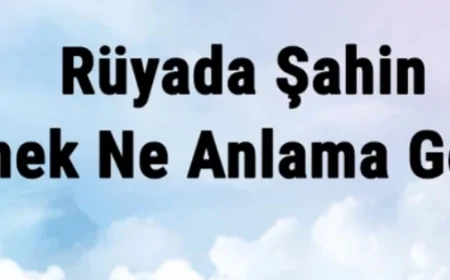Rüyada Şahin Görmek Ne Anlama Gelir? Rüyada Şahin Yakalamak Ve Öldürmek