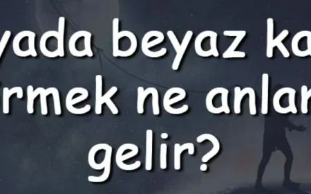 Rüyada beyaz kağıt görmek ne anlama gelir? Rüyada beyaz kağıt almak ve imzalamak