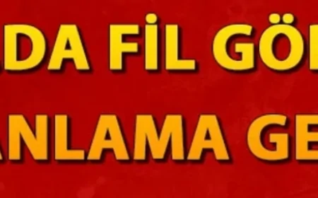Rüyada fil görmek ne anlama gelir? Rüyada fil yavrusu görmek