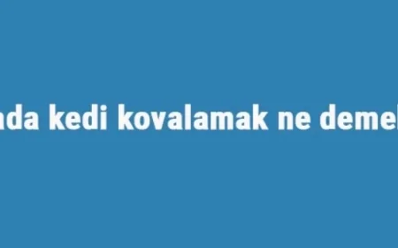 Rüyada kedi kovalamak ne demek? Rüyada evden sarı, beyaz ve siyah kedi kovalama