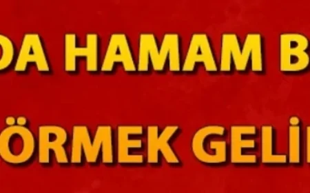 Rüyada hamam böceği görmek ne anlama gelir? Rüyada hamam böceği öldürmek