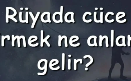 Rüyada cüce görmek ne anlama gelir? Rüyada cüce kovalamak ve saldırması