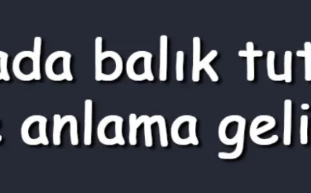 Rüyada balık tutmak ne anlama gelir? Rüyada elle, derede ve büyük balık tutmak