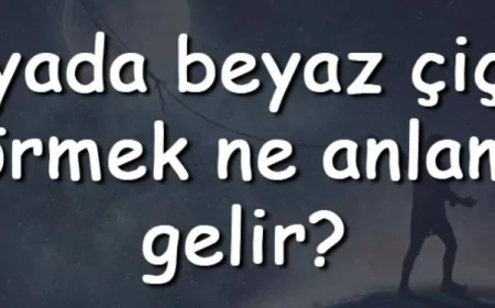 Rüyada beyaz çiçek görmek ne anlama gelir? Rüyada beyaz çiçek toplamak, almak ve dikmek