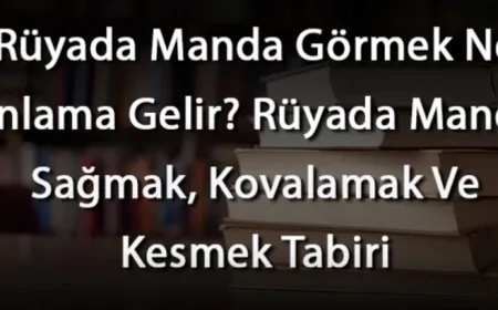 Rüyada Manda Görmek Ne Anlama Gelir? Rüyada Manda Sağmak, Kovalamak Ve Kesmek