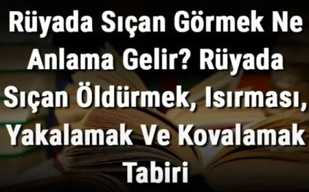 Rüyada Sıçan Görmek Ne Anlama Gelir? Rüyada Sıçan Öldürmek, Isırması, Yakalamak Ve Kovalamak