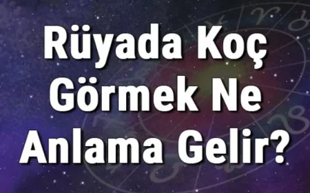 Rüyada Koç Görmek Ne Anlama Gelir? Rüyada Koç Kesmek Ve Sevmek