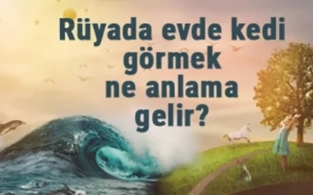 Rüyada evde kedi görmek ne anlama gelir? Rüyada evde kedi yavrusu beslemek ve sevmek
