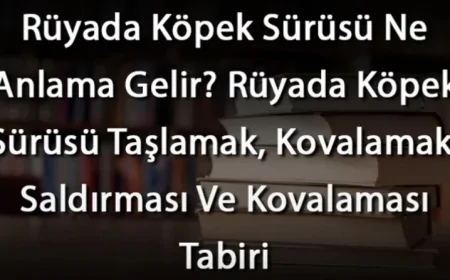 Rüyada Köpek Sürüsü Ne Anlama Gelir? Rüyada Köpek Sürüsü Taşlamak, Kovalamak, Saldırması Ve Kovalaması