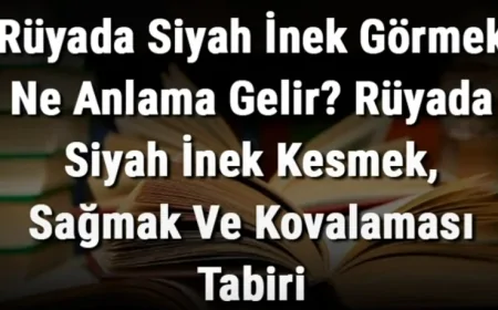 Rüyada Siyah İnek Görmek Ne Anlama Gelir? Rüyada Siyah İnek Kesmek, Sağmak Ve Kovalaması