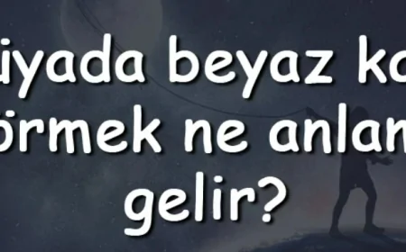 Rüyada beyaz kapı görmek ne anlama gelir? Rüyada beyaz kapı kilitlemek ve açmak