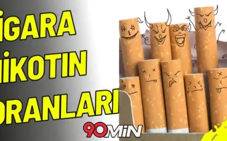 Sigara Nikotin Oranları 2026 (En Yüksek ve En Düşük Nikotin Oranları)