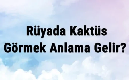 Rüyada Kaktüs Görmek Anlama Gelir? Rüyada Kaktüs Koparmak Ve Yemek Anlamı