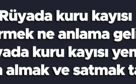 Rüyada kuru kayısı görmek ne anlama gelir? Rüyada kuru kayısı yemek, satın almak ve satmak