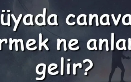 Rüyada canavar görmek ne anlama gelir? Rüyada canavar öldürmek ve kovalaması