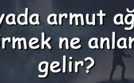 Rüyada armut ağacı görmek ne anlama gelir? Rüyada armut ağacı silkelemek, dikmek ve kesmek