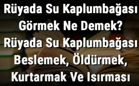 Rüyada Su Kaplumbağası Görmek Ne Demek? Rüyada Su Kaplumbağası Beslemek, Öldürmek, Kurtarmak Ve Isırması Anlamı