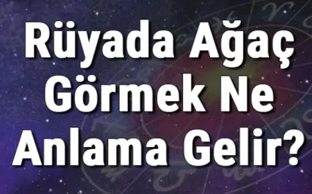 Rüyada Ağaç Görmek Ne Anlama Gelir? Rüyada Ağaç Dikmek Ya Da Kesmek