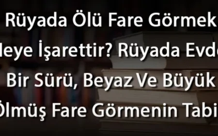 Rüyada Ölü Fare Görmek Neye İşarettir? Rüyada Evde, Bir Sürü, Beyaz Ve Büyük Ölmüş Fare Görmek