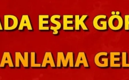 Rüyada eşek görmek anlamı nedir?