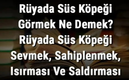 Rüyada Süs Köpeği Görmek Ne Demek? Rüyada Süs Köpeği Sevmek, Sahiplenmek, Isırması Ve Saldırması Anlamı