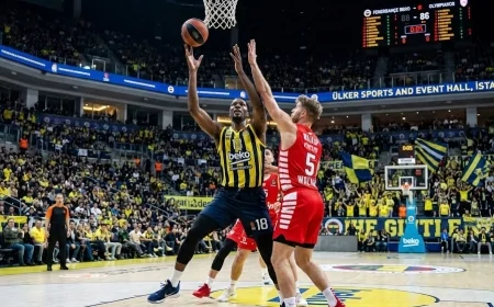 Fenerbahçe Beko Olympiakos maçı izle: Ne zaman ve hangi kanalda? CANLI İZLE