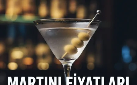 Martini Fiyatları 2026 (Vermut Fiyat Listesi)