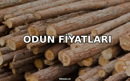 Odun Fiyatları 2026 (1 Ton ve 1 Çuval Meşe Odunu Fiyatı)