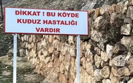 Bitlis'in Adilcevaz İlçesinde Kuduz Vakası: Kömürlü Köyü Karantinaya Alındı!