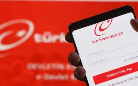 e-Devlet Çöktü mü? 29 Ocak e-Devlet Giriş Sorunu ve Erişim Sıkıntısının Nedeni