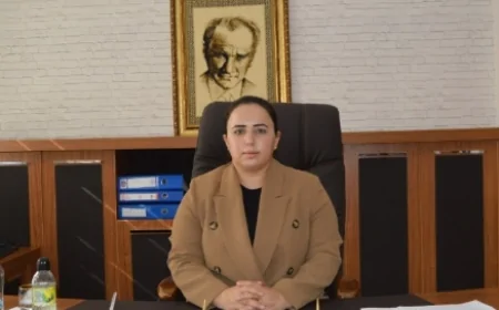 Nazlı Demir kimdir? Göç İdaresi Başkanlığı Daire Başkanı Nazlı Demir kaç yaşında? bekar mı? nereli?