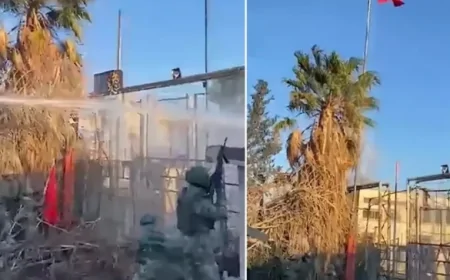 SON DAKİKA! Mardin Nusaybin'de kaç kişi gözaltına alındı, gözaltına alınanların isim soy isim gözaltı listesi açıklandı mı? Son durum ne?