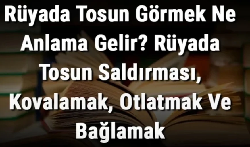 Rüyada Tosun Görmek Ne Anlama Gelir? Rüyada Tosun Saldırması, Kovalamak, Otlatmak Ve Bağlamak Ne Anlama Gelir?