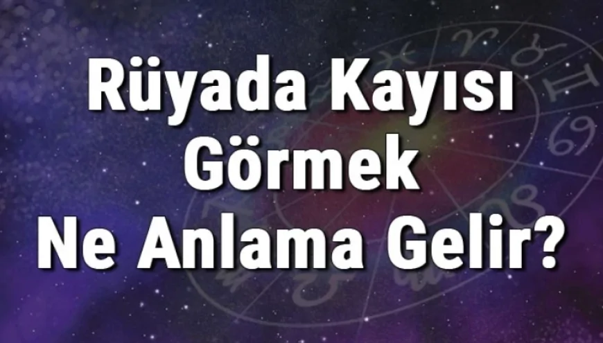 Rüyada Kayısı Görmek Ne Anlama Gelir? Rüyada Kayısı Yemek Ve Toplamak Tabiri