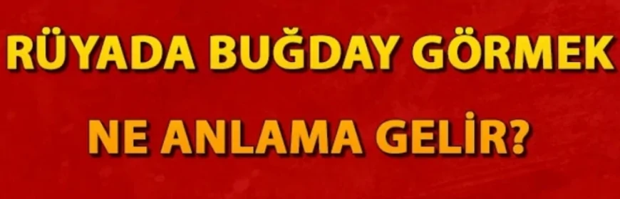 Rüyada buğday görmek ne anlama gelir? Rüyada buğday tarlası ve yığını görmek