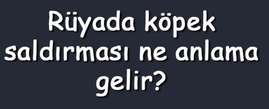 Rüyada köpek saldırması ne anlama gelir? Rüyada siyah, beyaz, kahverengi bir köpeğin arkadaşına ve kardeşine saldırması anlamı