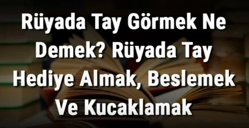Rüyada Tay Görmek Ne Demek? Rüyada Tay Hediye Almak, Beslemek Ve Kucaklamak Anlamı