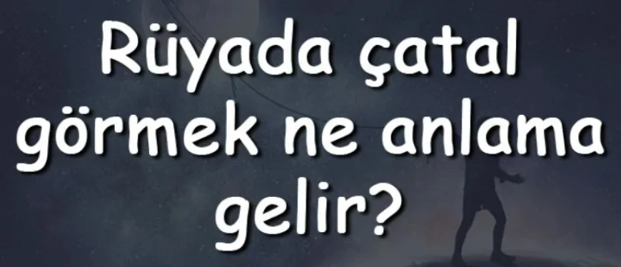 Rüyada çatal görmek ne anlama gelir? Rüyada çatal almak ve yıkamak