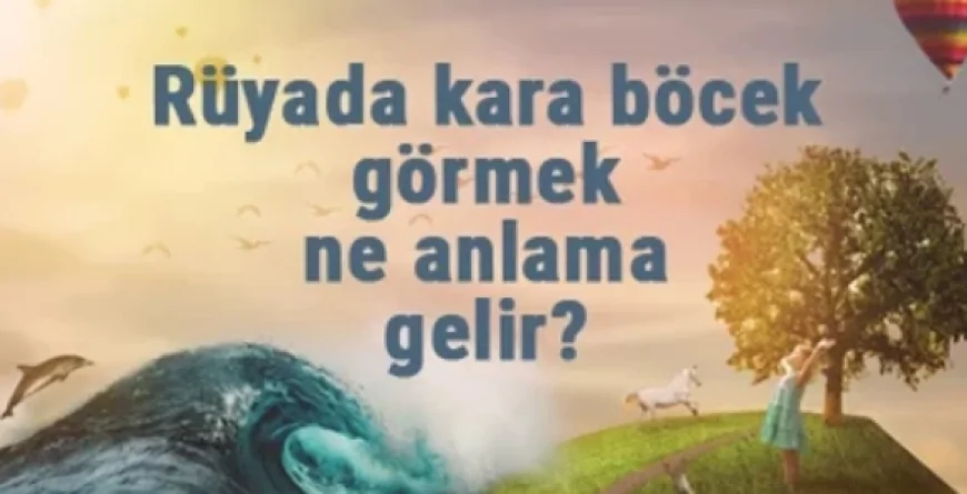 Rüyada kara böcek görmek ne anlama gelir? Rüyada karaböcek kovalamak, öldürmek ve elini ısırması