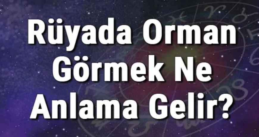Rüyada Orman Görmek Ne Anlama Gelir? Rüyada Ormanda Olmak, Koşmak Ve Ormana Gitmek
