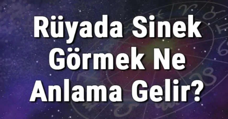 Rüyada Sinek Görmek Ne Anlama Gelir? Rüyada Sinek Öldürmek Ve Yakalamak