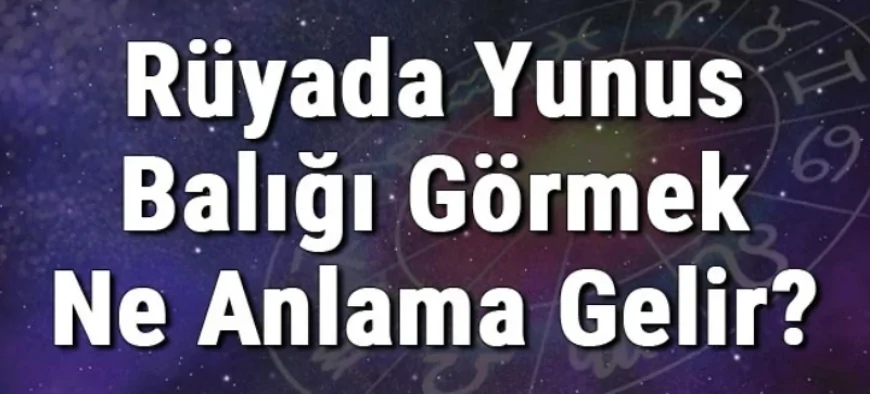 Rüyada Yunus Balığı Görmek Ne Anlama Gelir? Rüyada Yunus Sevmek Ya Da Öldürmek