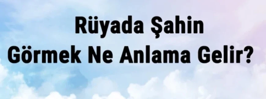 Rüyada Şahin Görmek Ne Anlama Gelir? Rüyada Şahin Yakalamak Ve Öldürmek