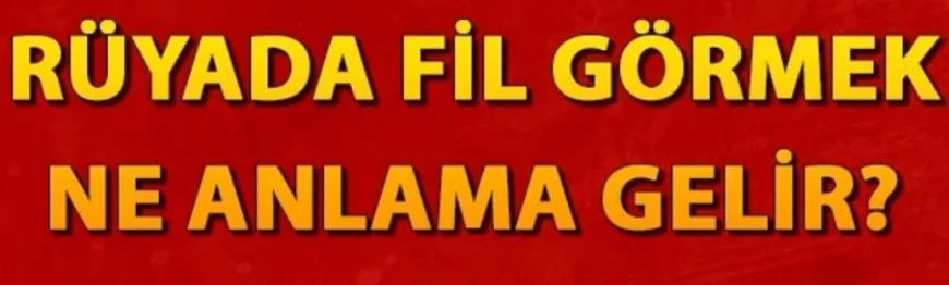 Rüyada fil görmek ne anlama gelir? Rüyada fil yavrusu görmek