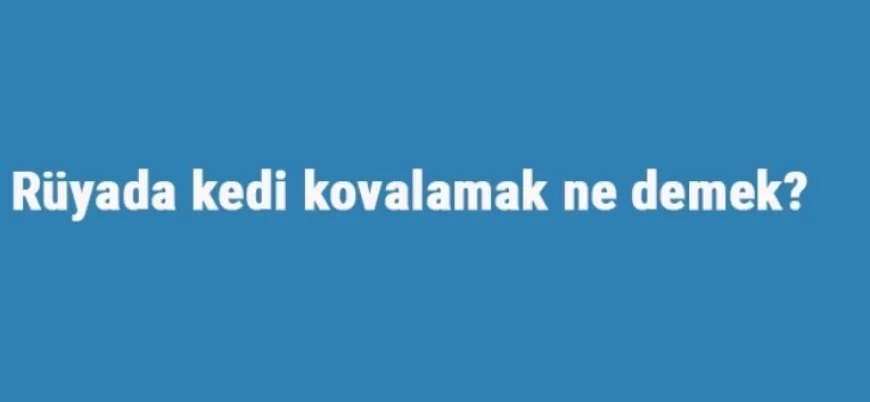 Rüyada kedi kovalamak ne demek? Rüyada evden sarı, beyaz ve siyah kedi kovalama